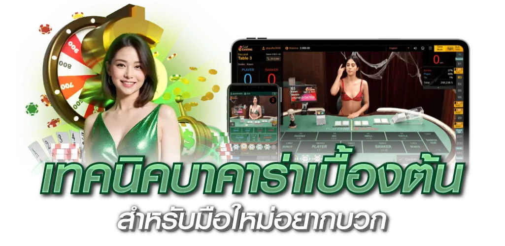 เทคนิคบาคาร่าเบื้องต้น สำหรับมือใหม่อยากบวก